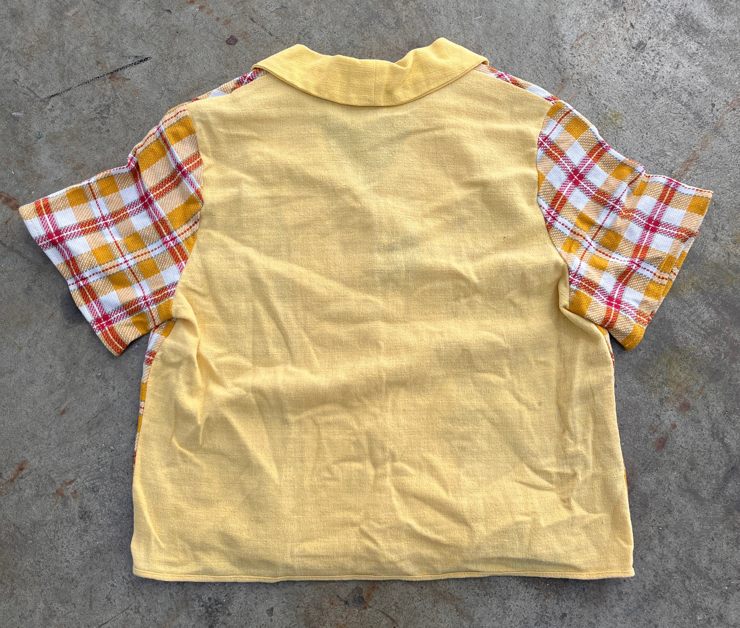 Harry Shirt: Dalmatian picnic.